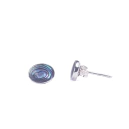 Серебряные серьги SE255A