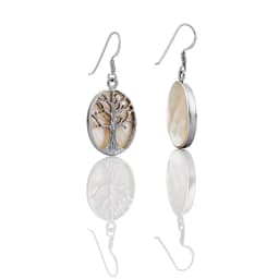 Silver Earrings SE81W
