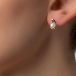 Silver Earrings SE647