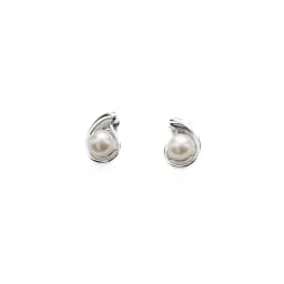 Silver Earrings SE647