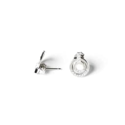 Silver Earrings SE669