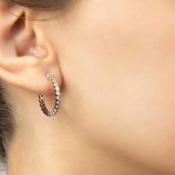 Silver Earrings SE673