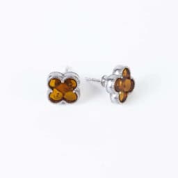 Silver Earrings SE679