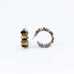 Silver Earrings SE680