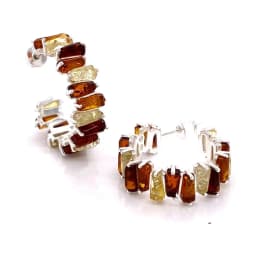 Silver Earrings SE680