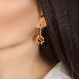 Silver Earrings SE841GP
