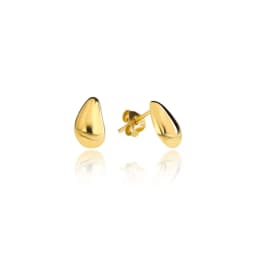 Silver Earrings SE858GP
