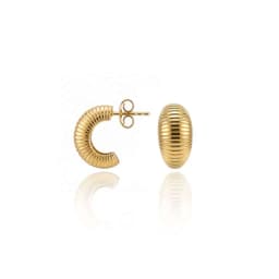 Silver Earrings SE873YG