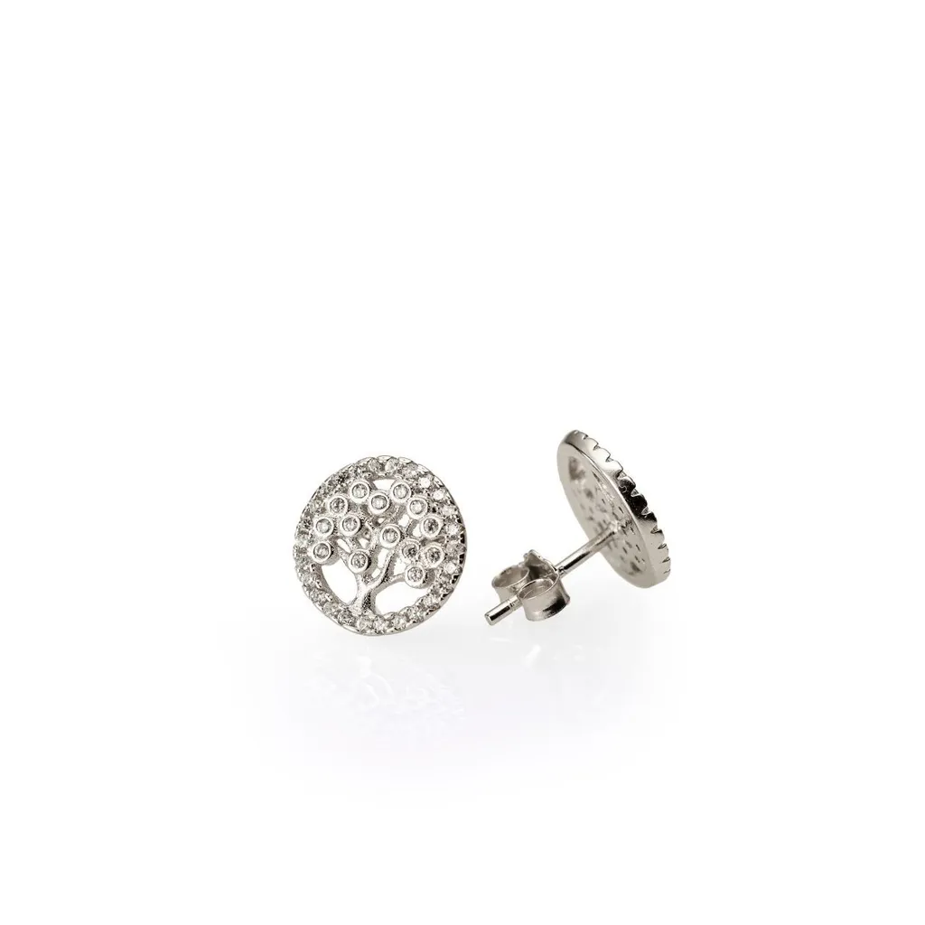 Silver Earrings SE334