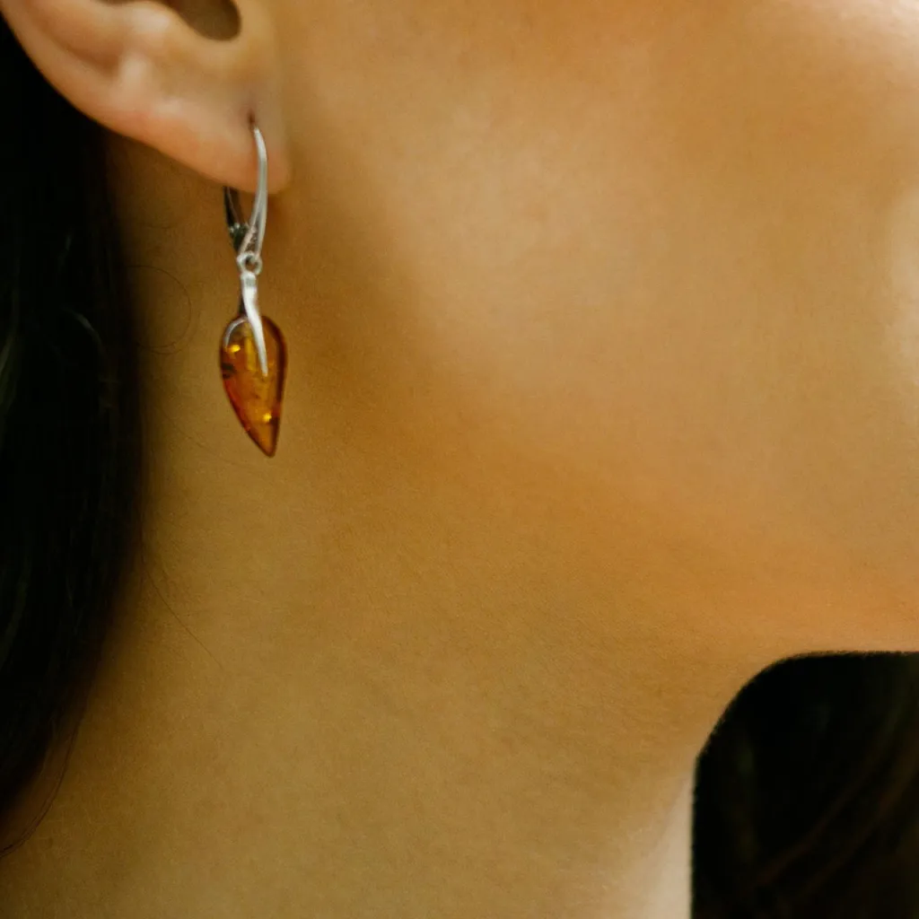 Silver Earrings SE400