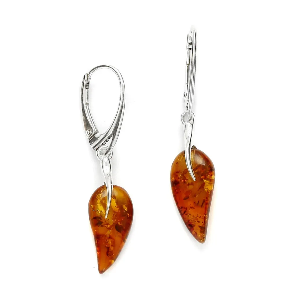 Silver Earrings SE400