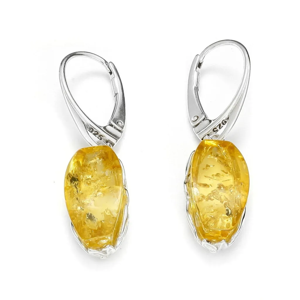 Silver Earrings SE410CIT