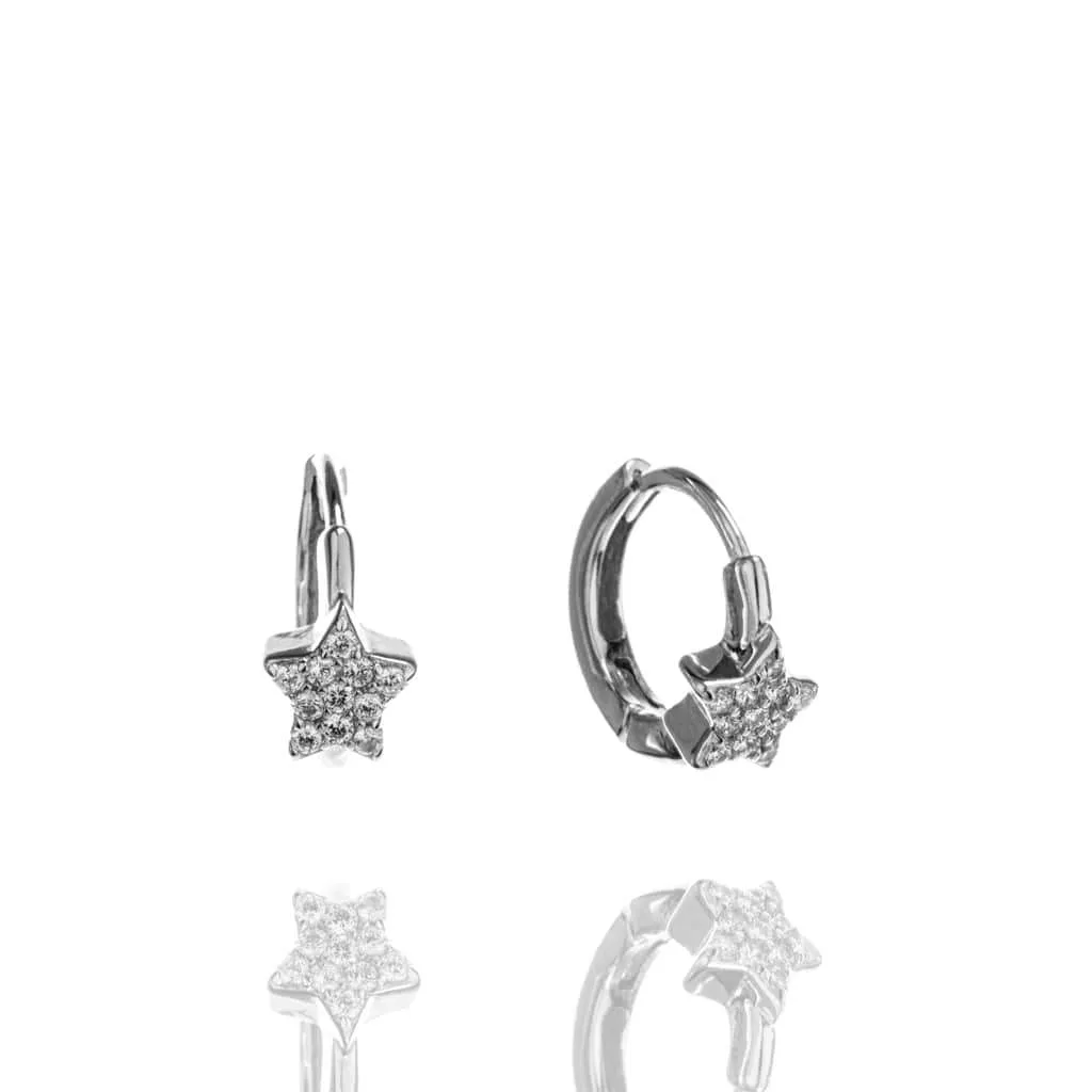 Silver Earrings SE503