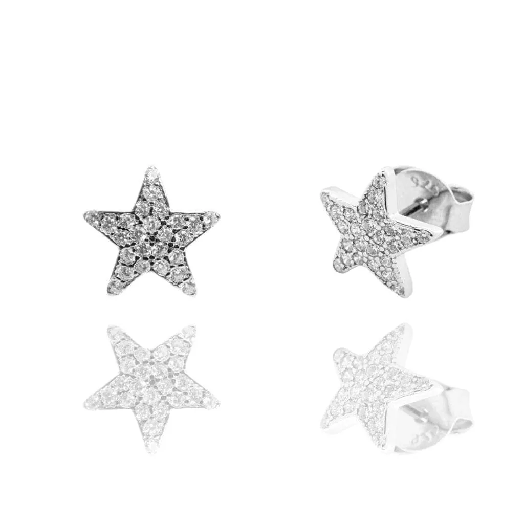 Silver Earrings SE504
