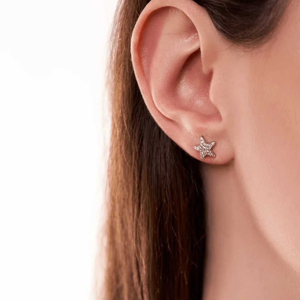 Silver Earrings SE504