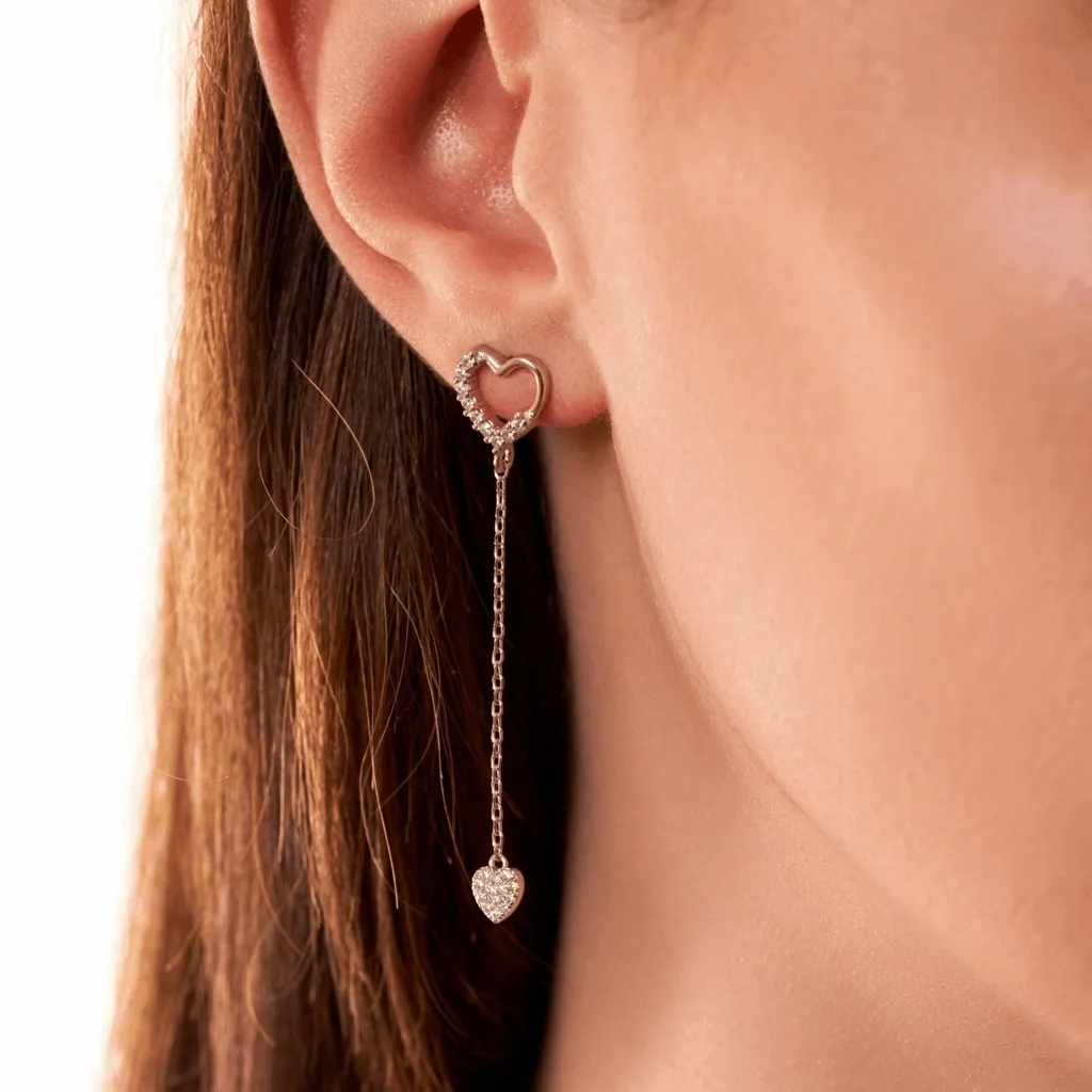 Silver Earrings SE513