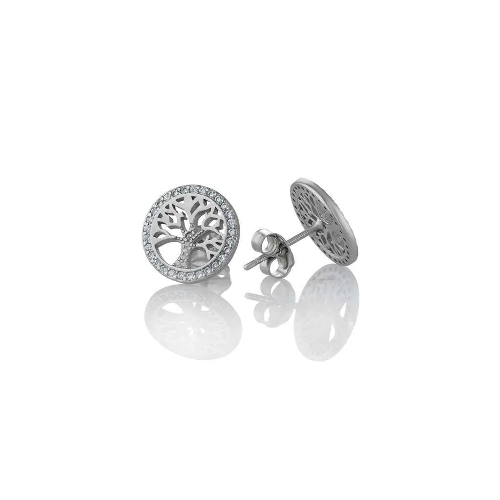 Silver Earrings SE536