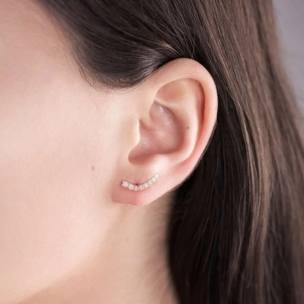 Silver Earrings SE546