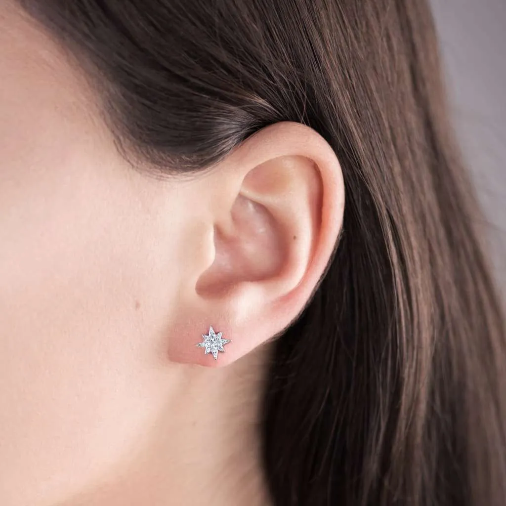 Silver Earrings SE548