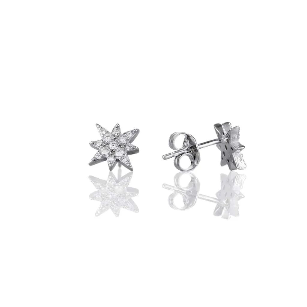 Silver Earrings SE548