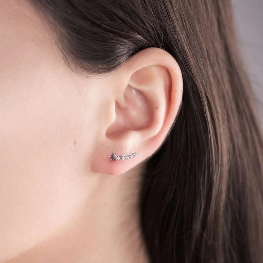 Серебряные серьги SE550