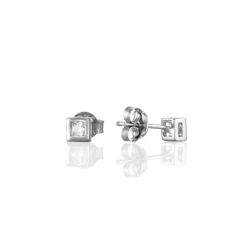Silver Earrings SE555