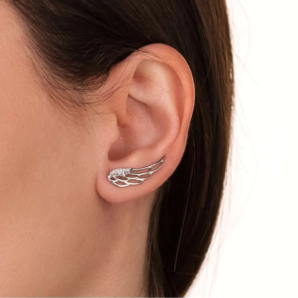 Silver Earrings SE560