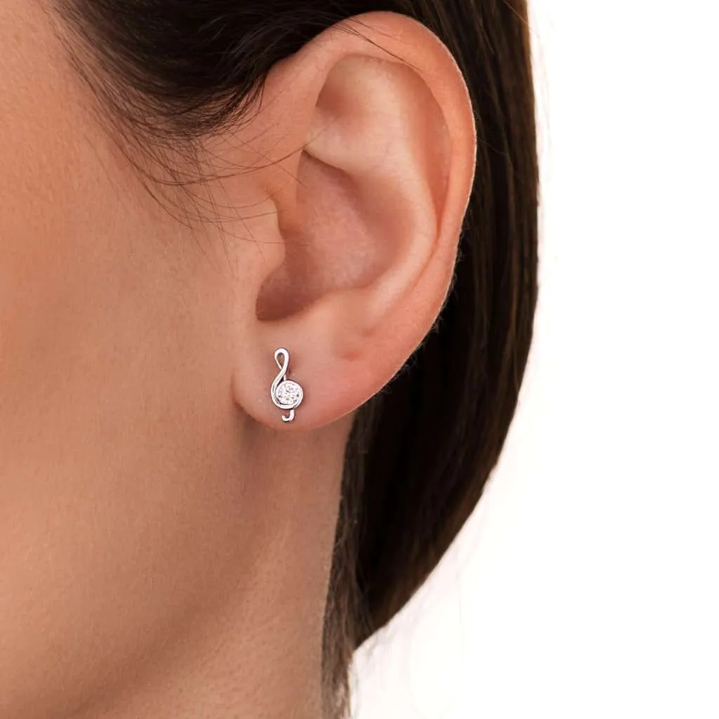 Silver Earrings SE569
