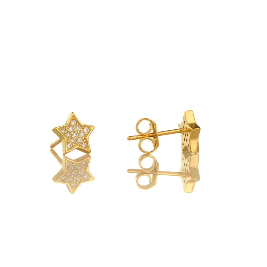 Silver Earrings SE553YG