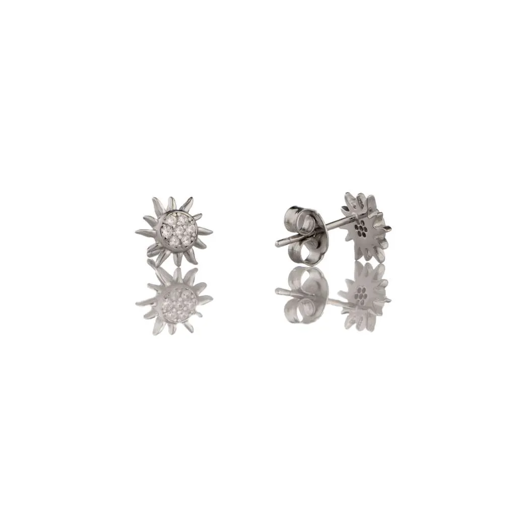 Silver Earrings SE576