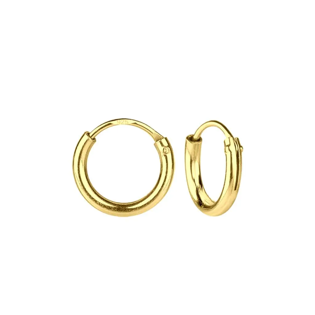 Silver Earrings SE632