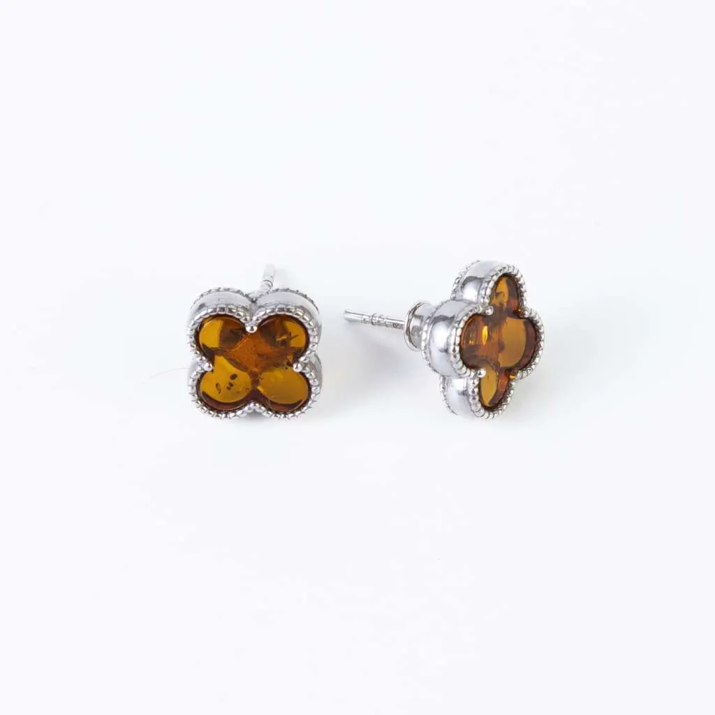 Silver Earrings SE679
