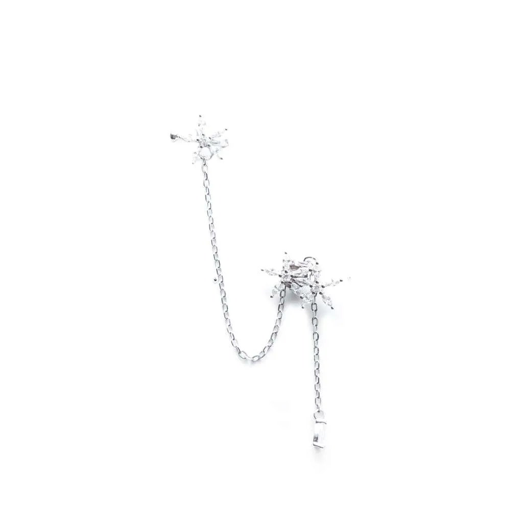 Silver Earrings SE734