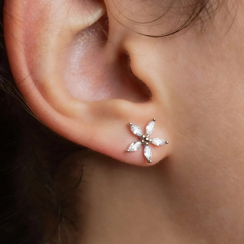 Silver Earrings SE734
