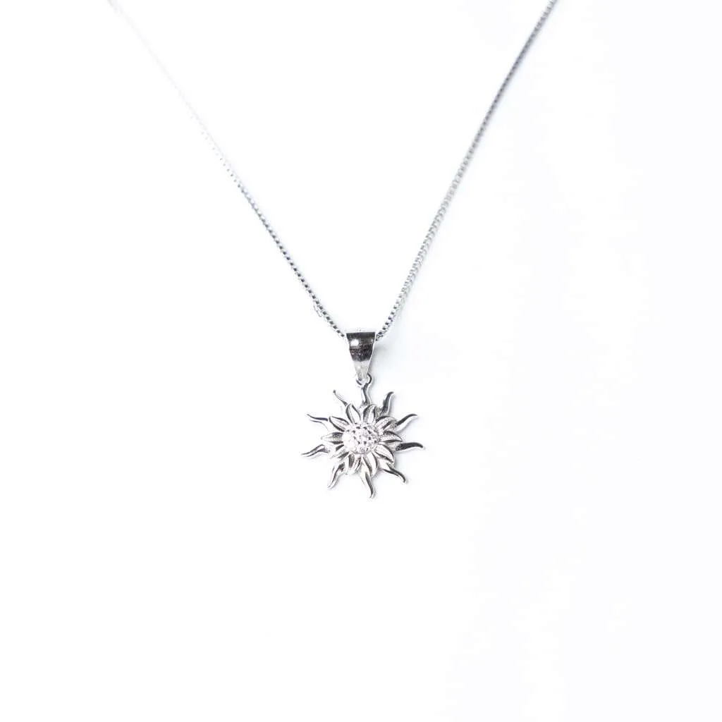 Silver Pendant SP641