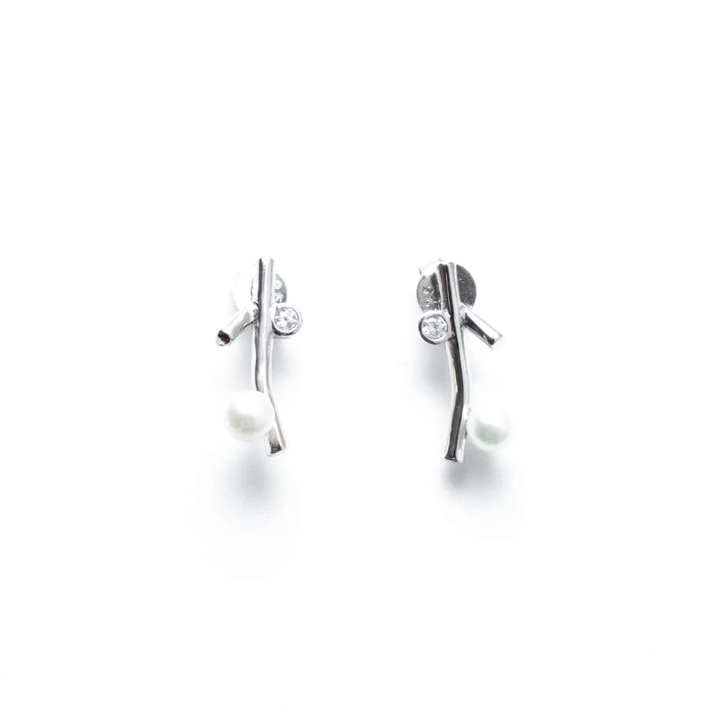 Silver Earrings SE736