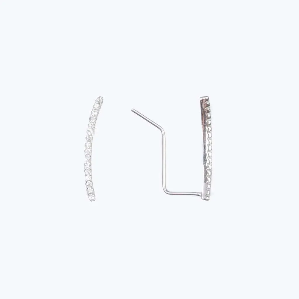 Silver Earrings SE747