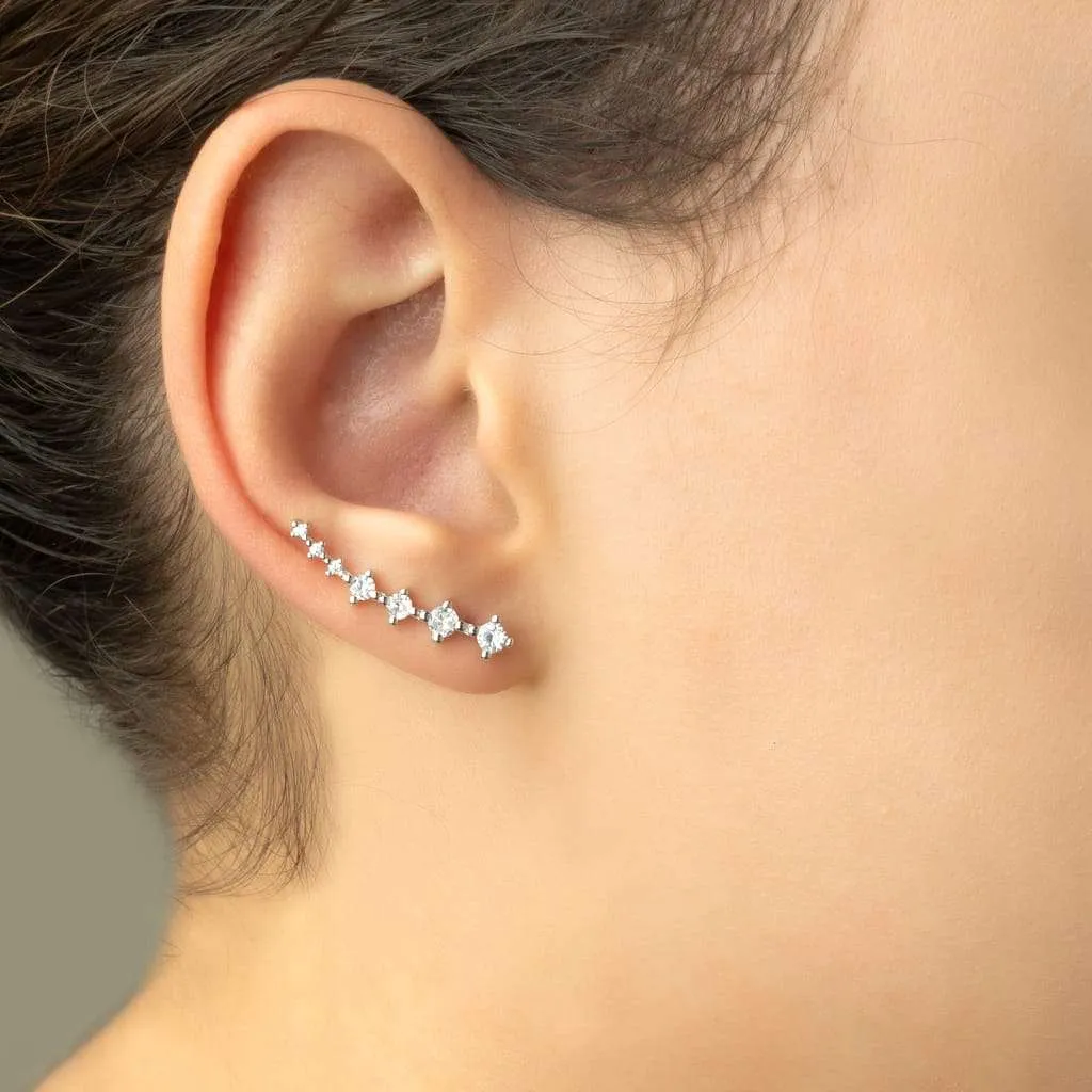 Silver Earrings SE741