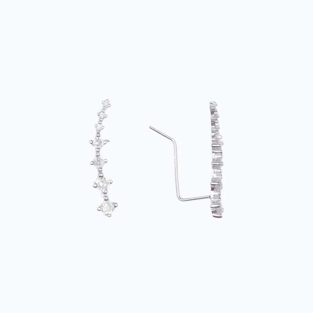 Silver Earrings SE741