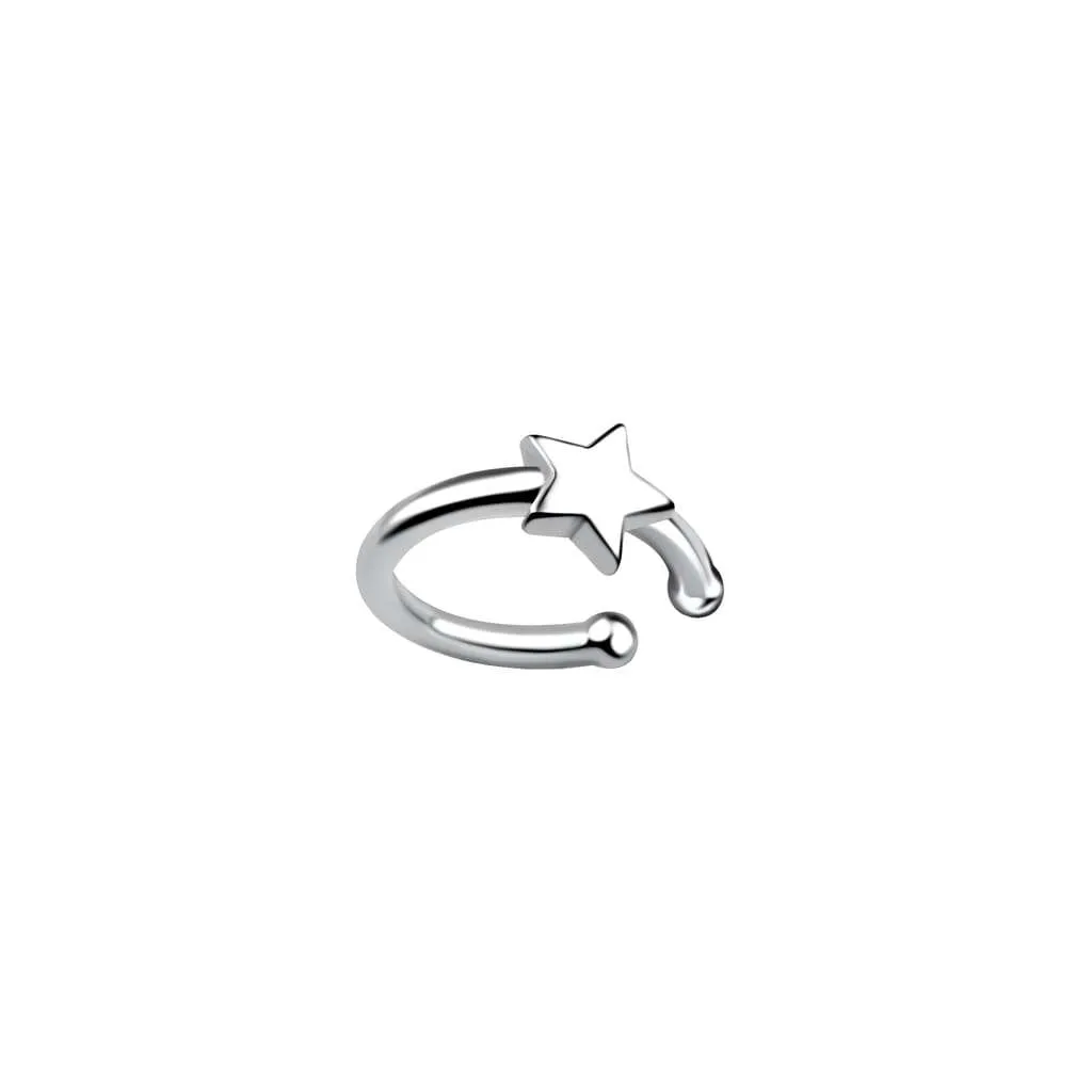 Silver Earrings SE788