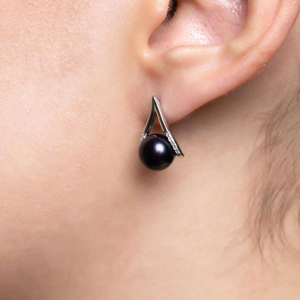Silver Earrings SE796BK