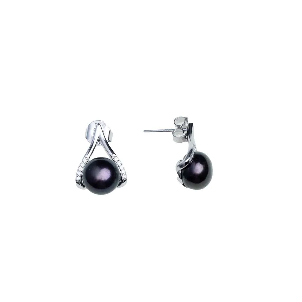 Silver Earrings SE796BK