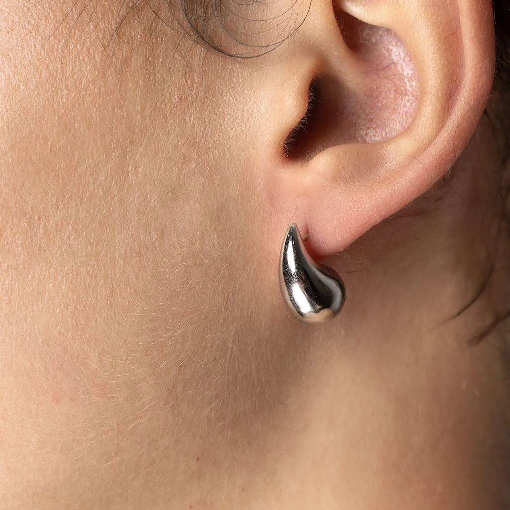 Silver Earrings SE839
