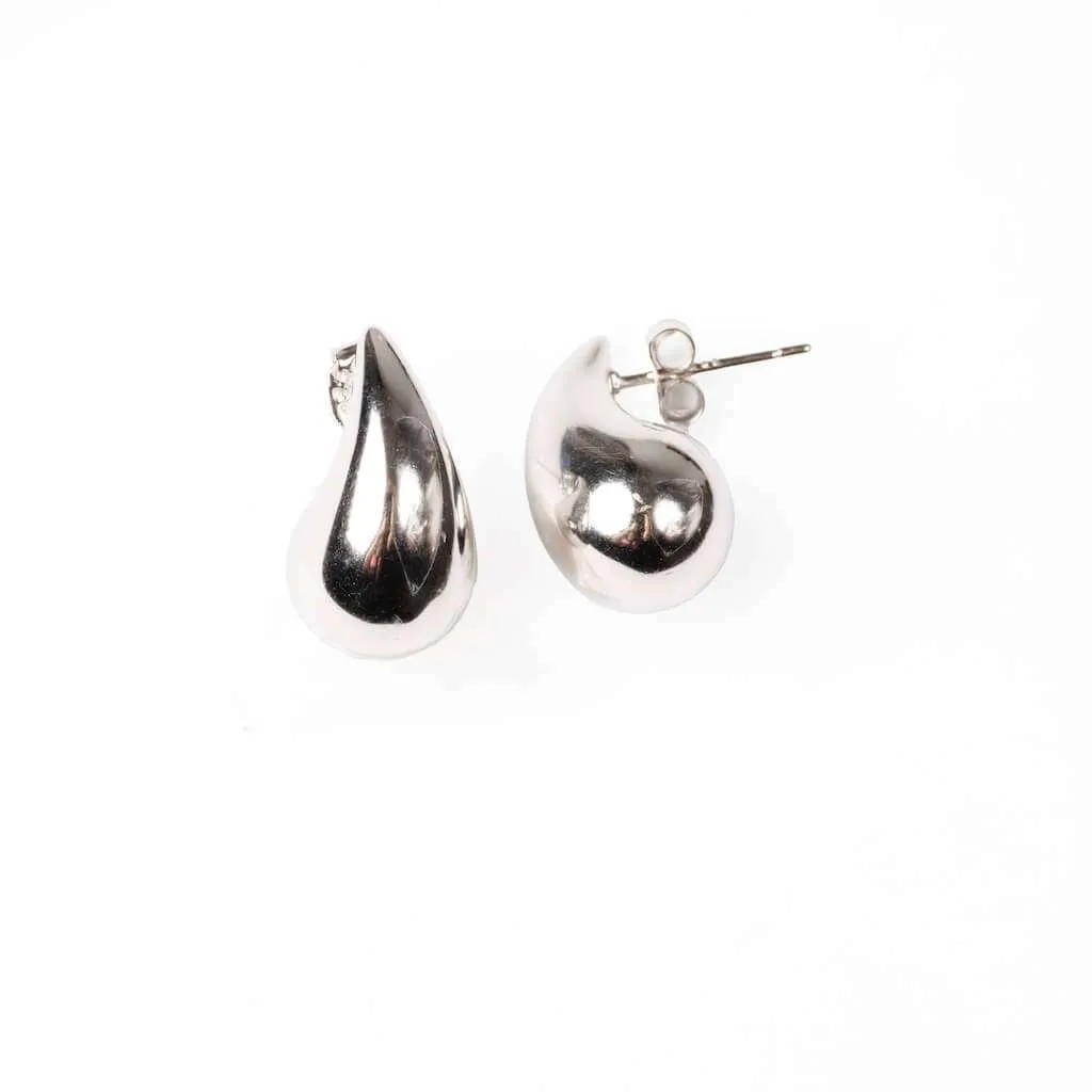 Silver Earrings SE839