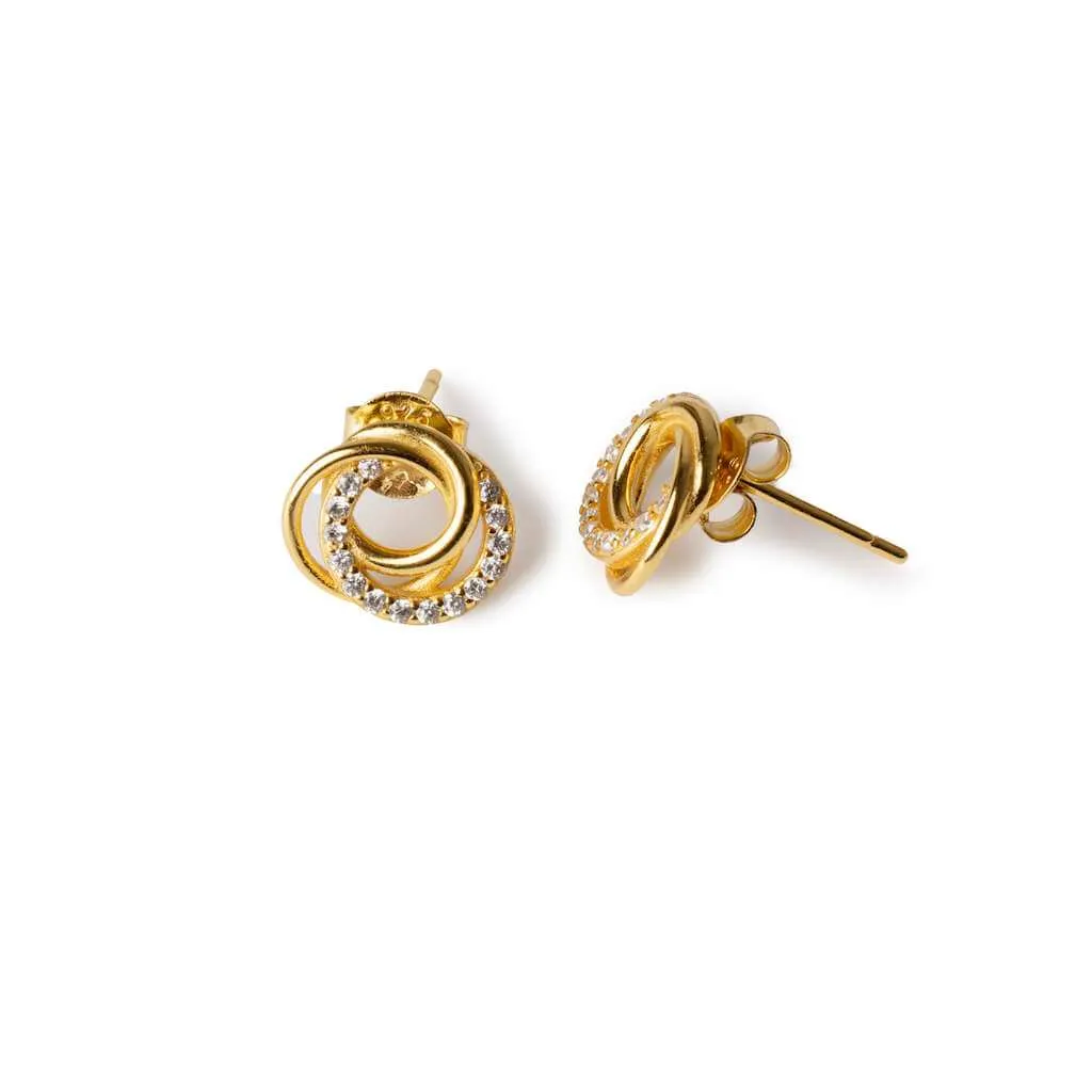 Silver Earrings SE836GP