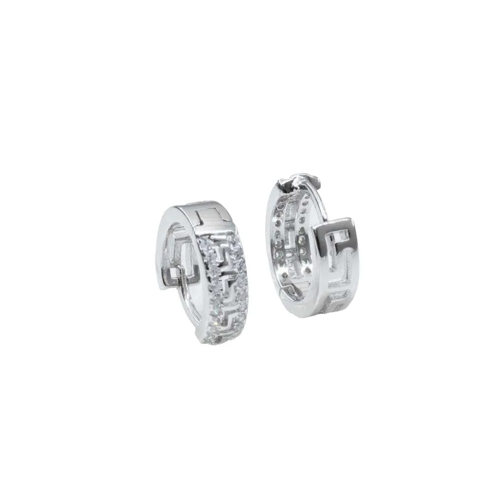 Silver Earrings SE840