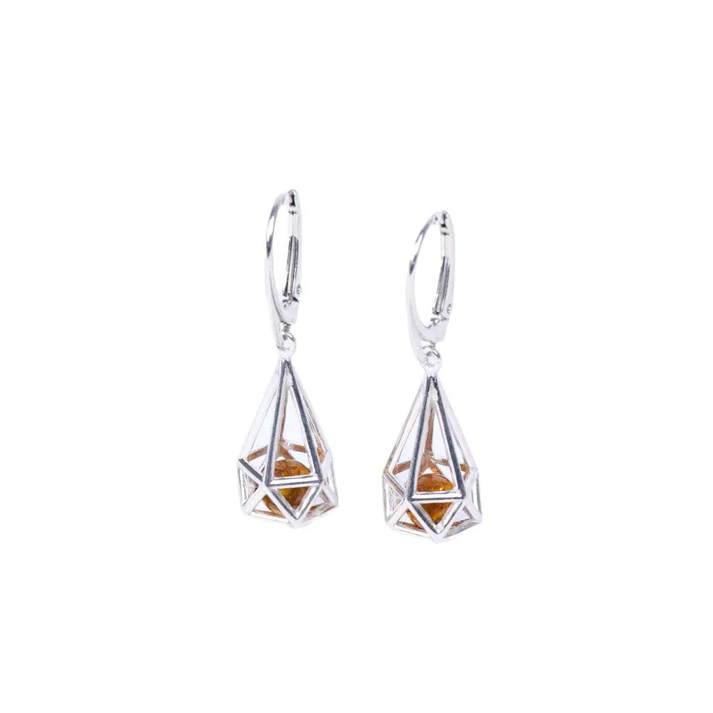 Silver Earrings SE842