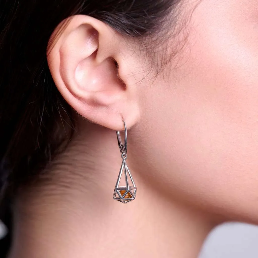 Silver Earrings SE842