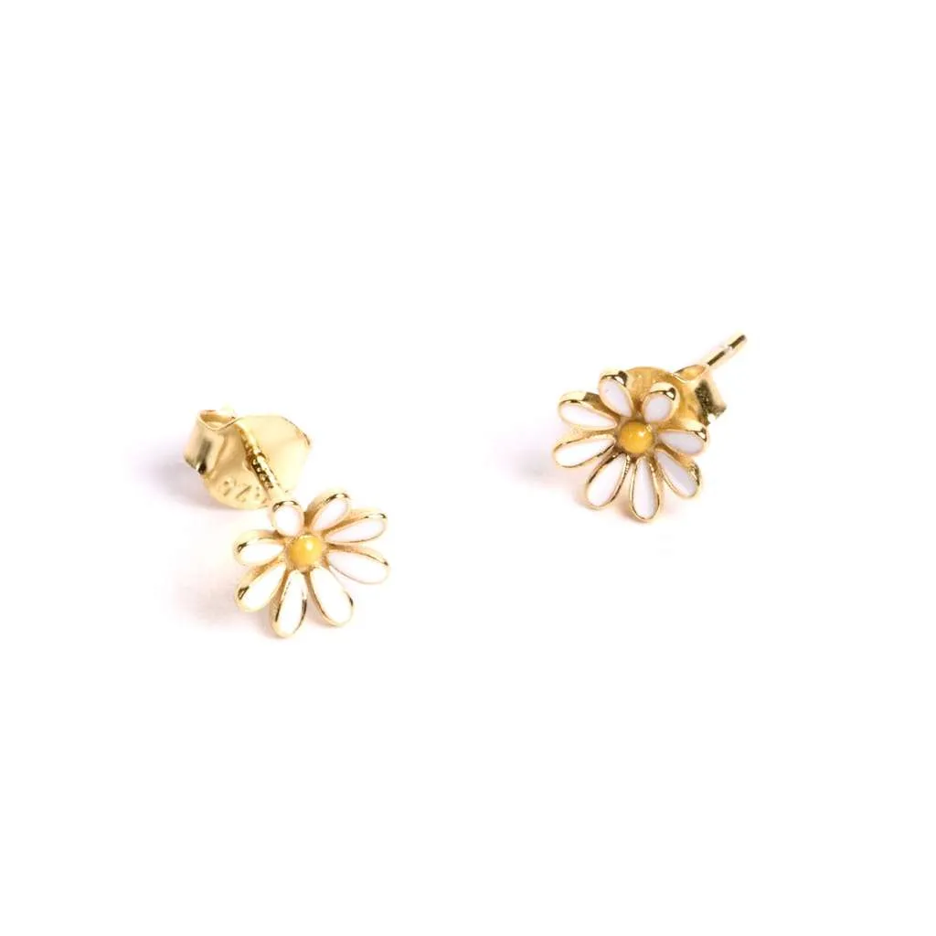 Silver Earrings SE843GP
