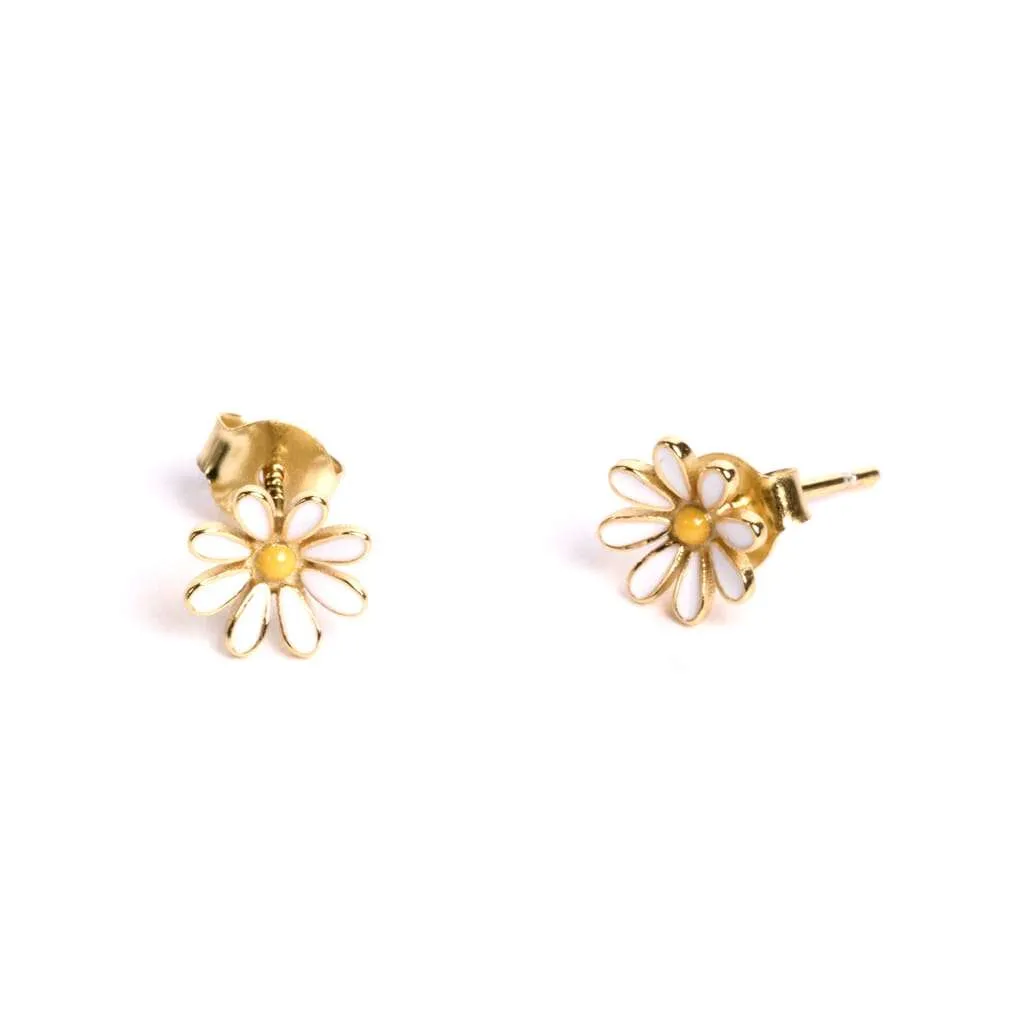 Silver Earrings SE843GP